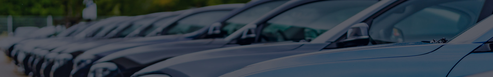 member-banner