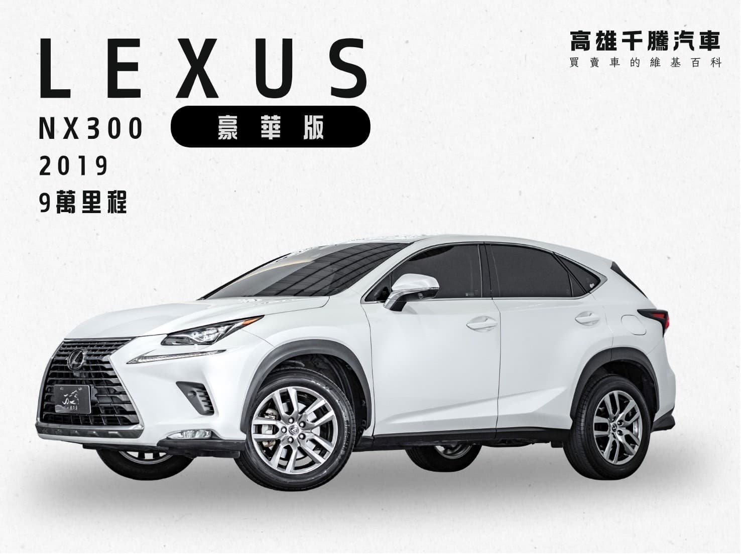 2019 Lexus NX300 豪華版